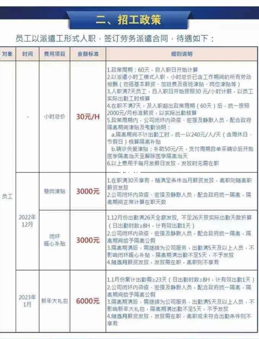 2024年11月25日 第28页